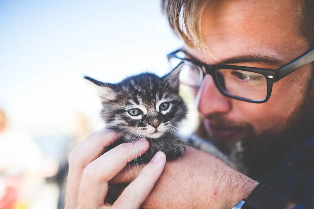 Homme tenant un chaton contre lui